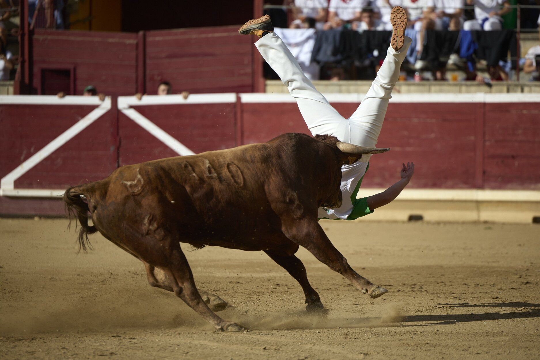 Fotos del concurso de recortadores de fiestas de Tafalla
