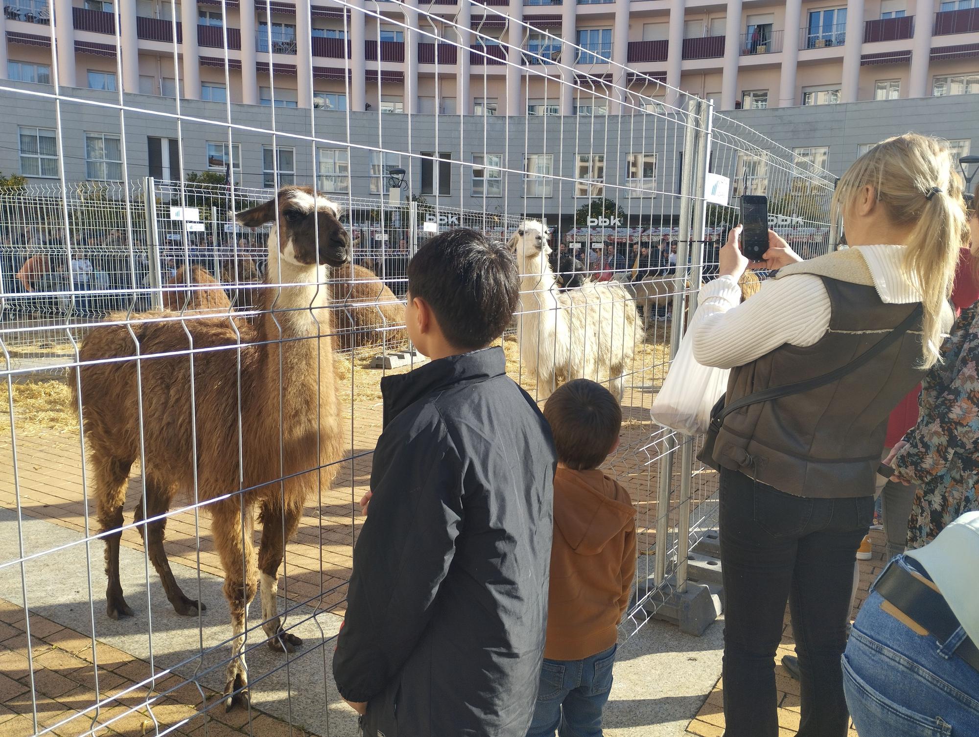 Las llamas sorprendieron a los más pequeños.