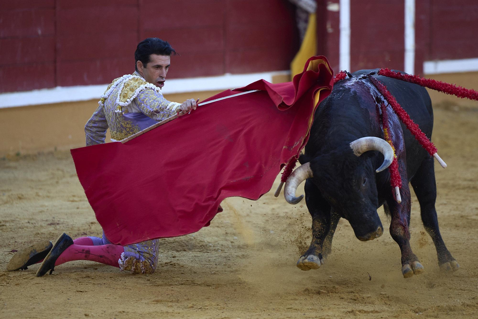 Fotos de la corrida de toros en Tudela con toros de Garzón Valdenebro