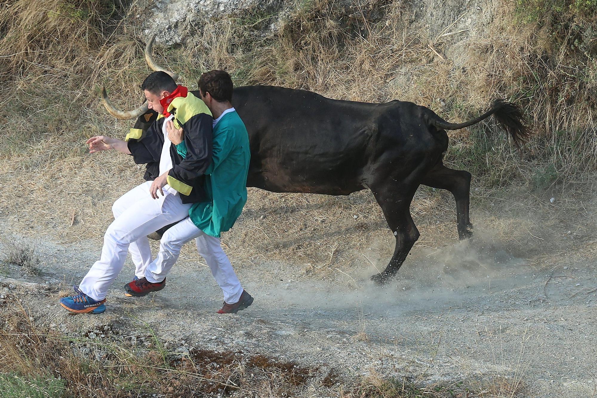 Fotos del segundo encierro del Pilón de Falces 2025