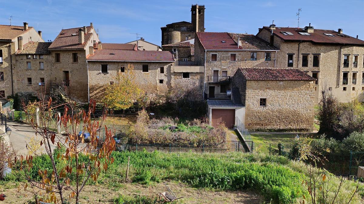 Kutxabankek lortu du Jaurlaritzaren kontratua landa eremuko 38 udalerritan kutxazain automatikoak instalatzeko.