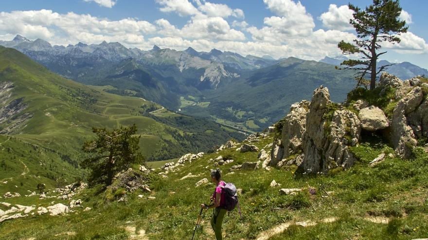 Navarra actualiza el Catálogo de Montes de Utilidad Pública con 693 referencias y mapas de sus límites