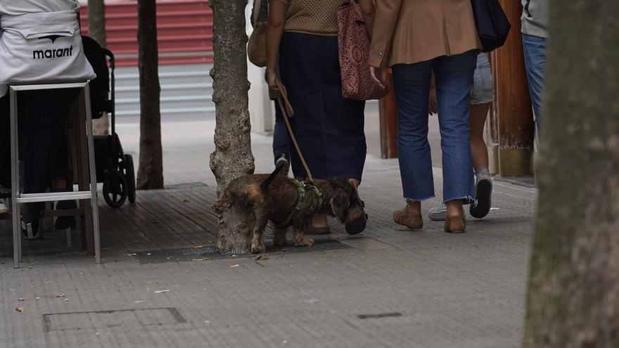 Paredes y calles de todos