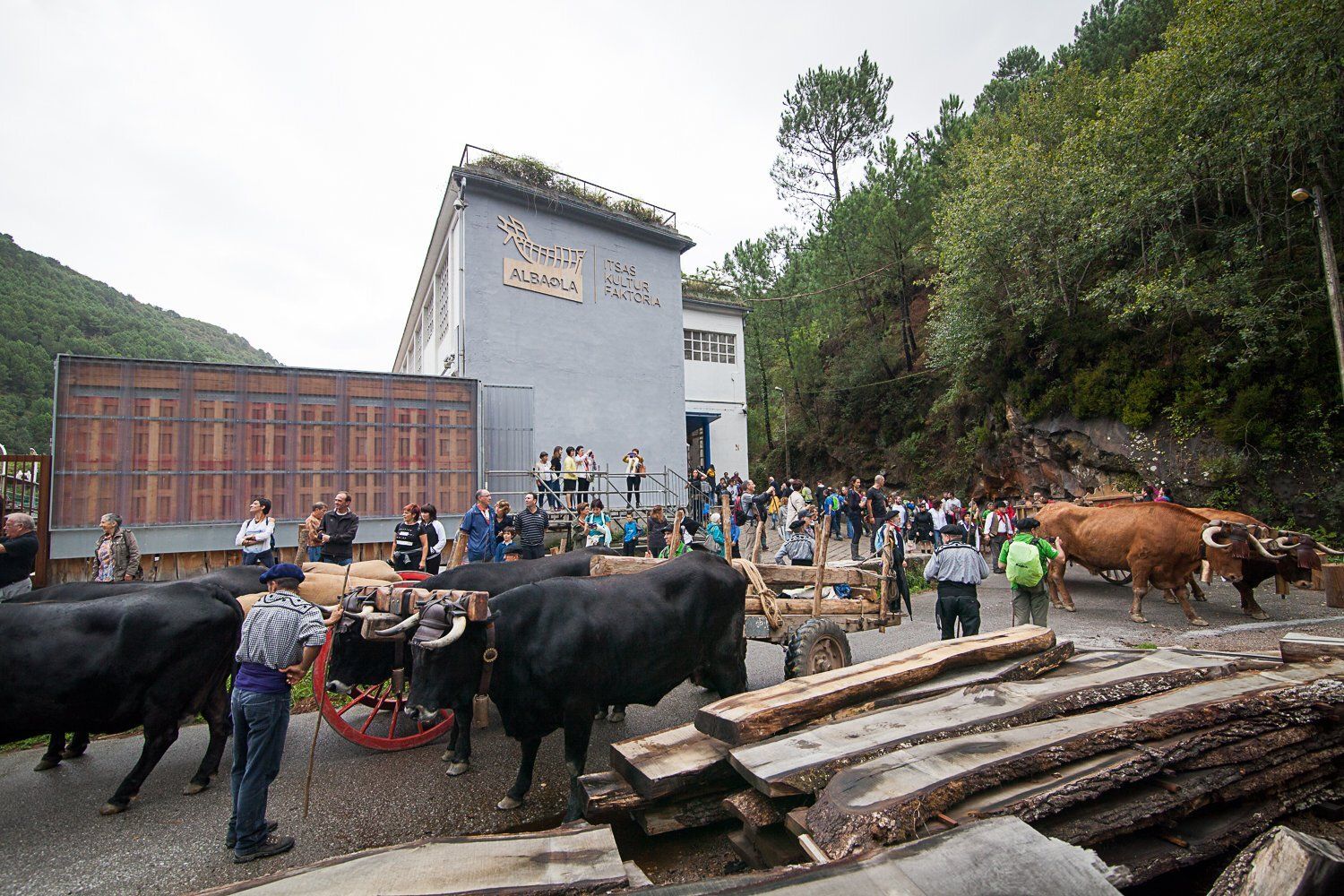 2016-9-17, Llegada de la Gurdi Bidea-Ruta Carreteril, un viaje de Burgos a Pasaia con carros tirados por bueyes y vacas serranas promovido por la Cabaña Real de Carreteros de Quintanar de la Sierra y Albaola,