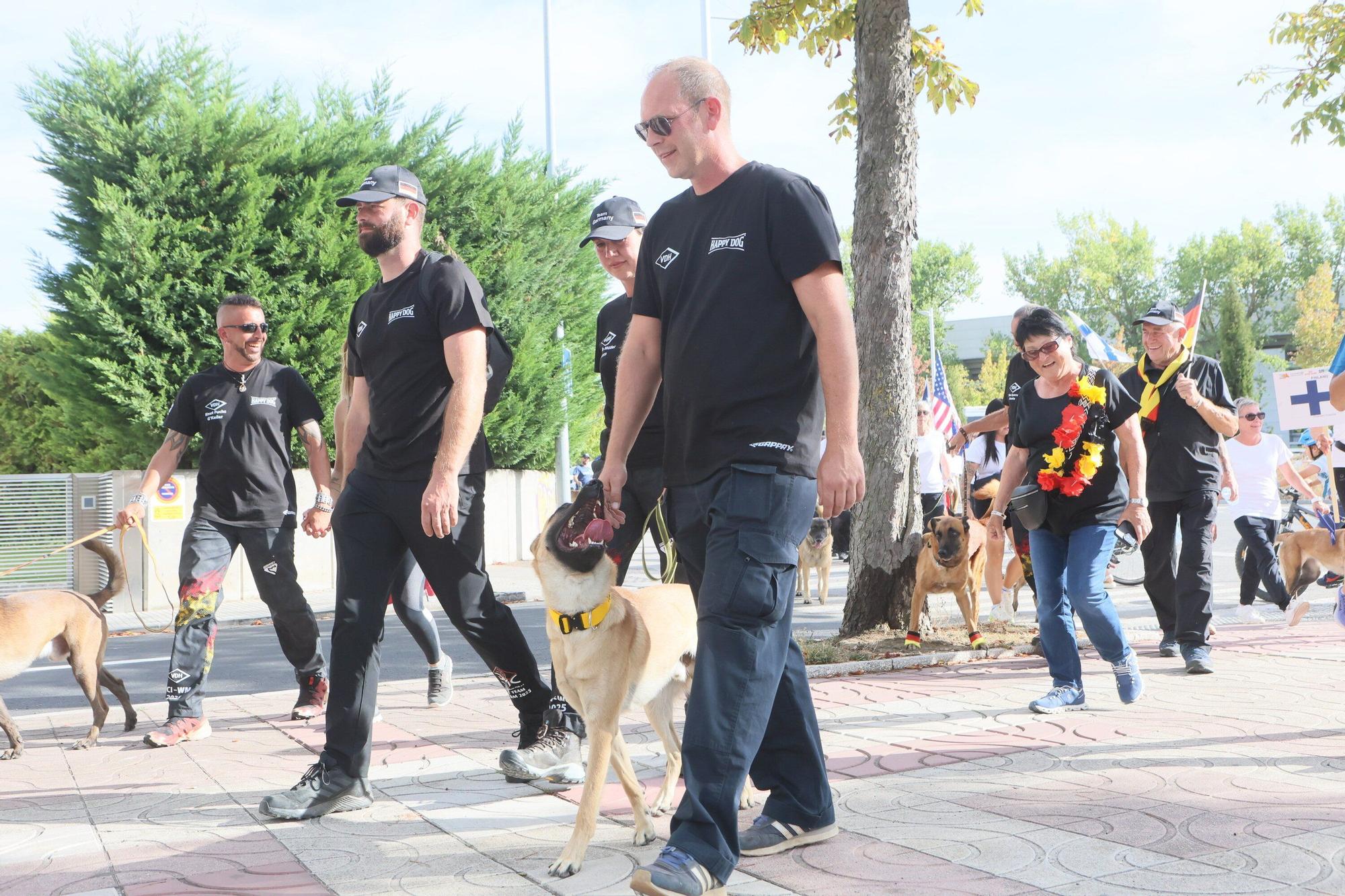 En imágenes: Perros de élite desfilan por Vitoria-Gasteiz por el 'Campeonato Mundial FCI-IGP'