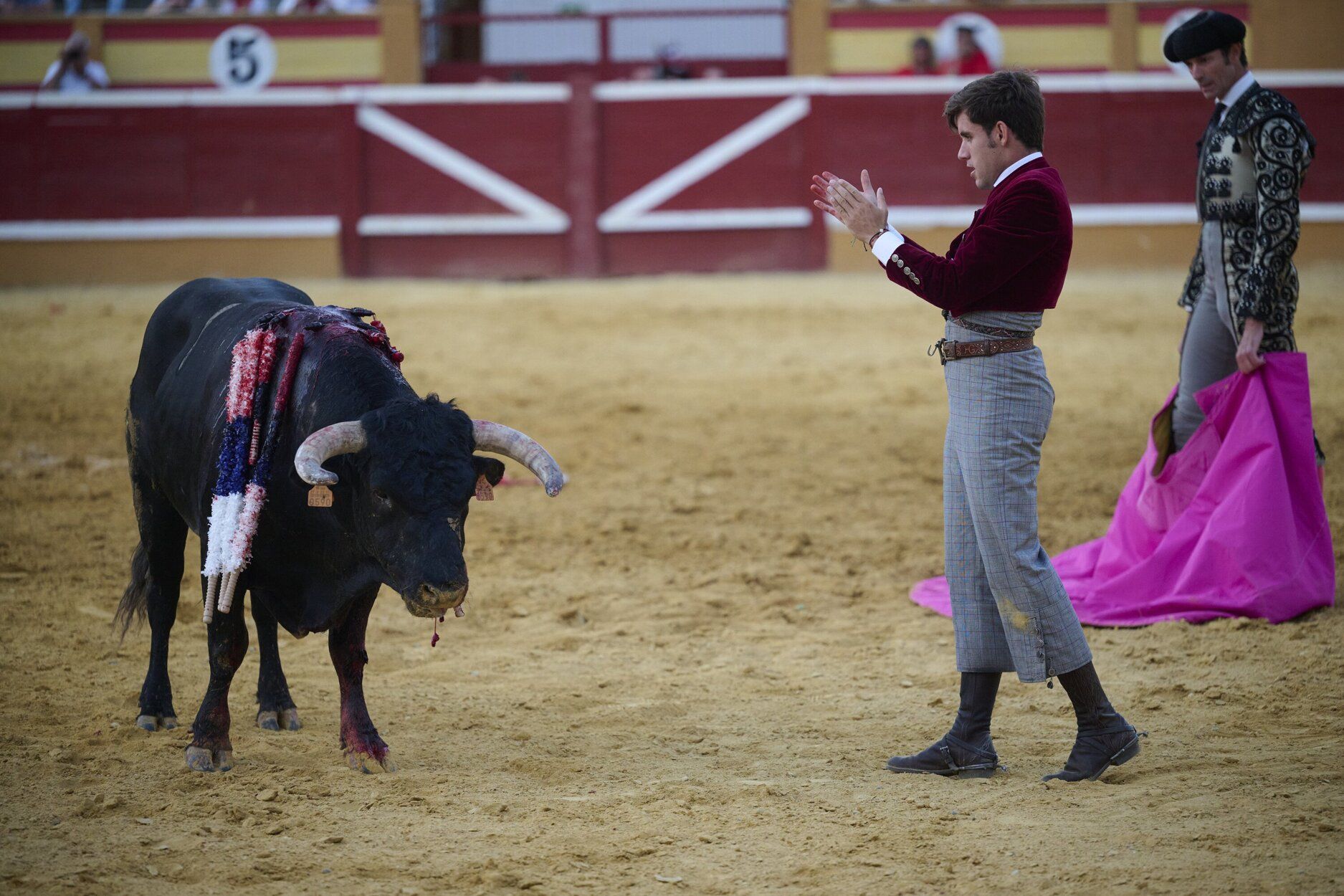 Fotos de la corrida de rejones de este domingo en fiestas de Tudela
