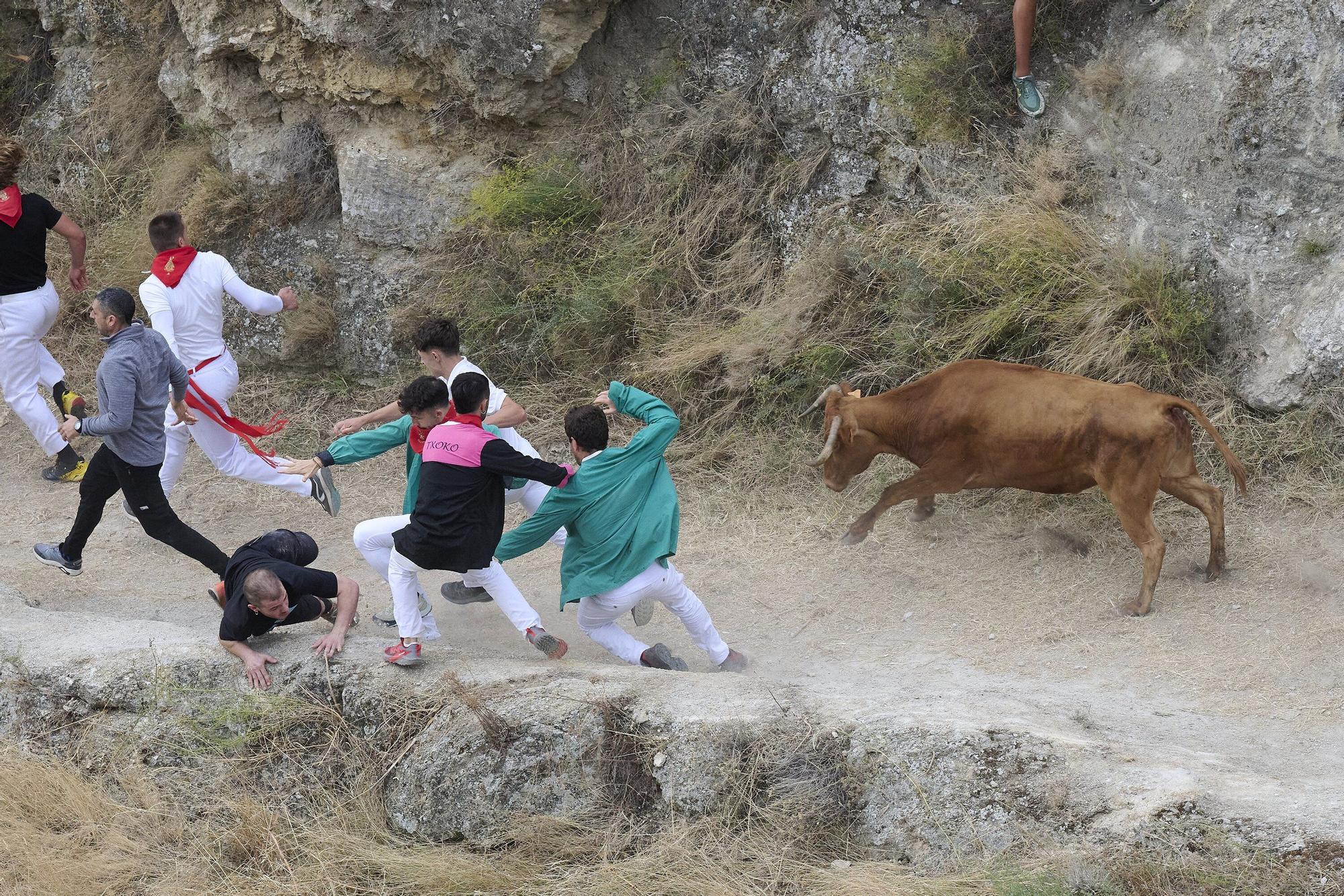 Fotos del sexto encierro del Pilón de Falces 2025, con vacas de Hípica Zahorí