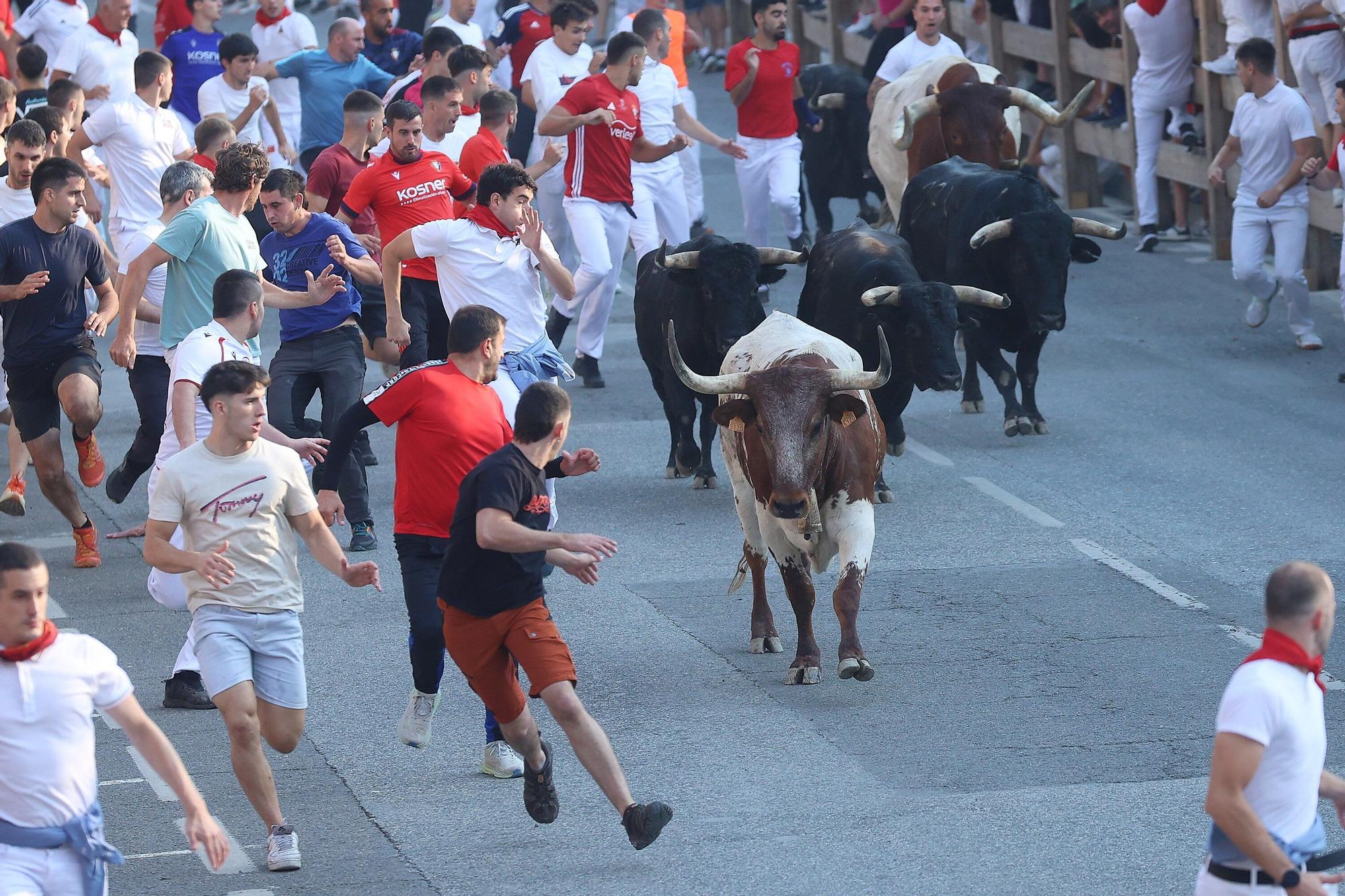 Fotos del segundo encierro de fiestas de Tafalla 2025