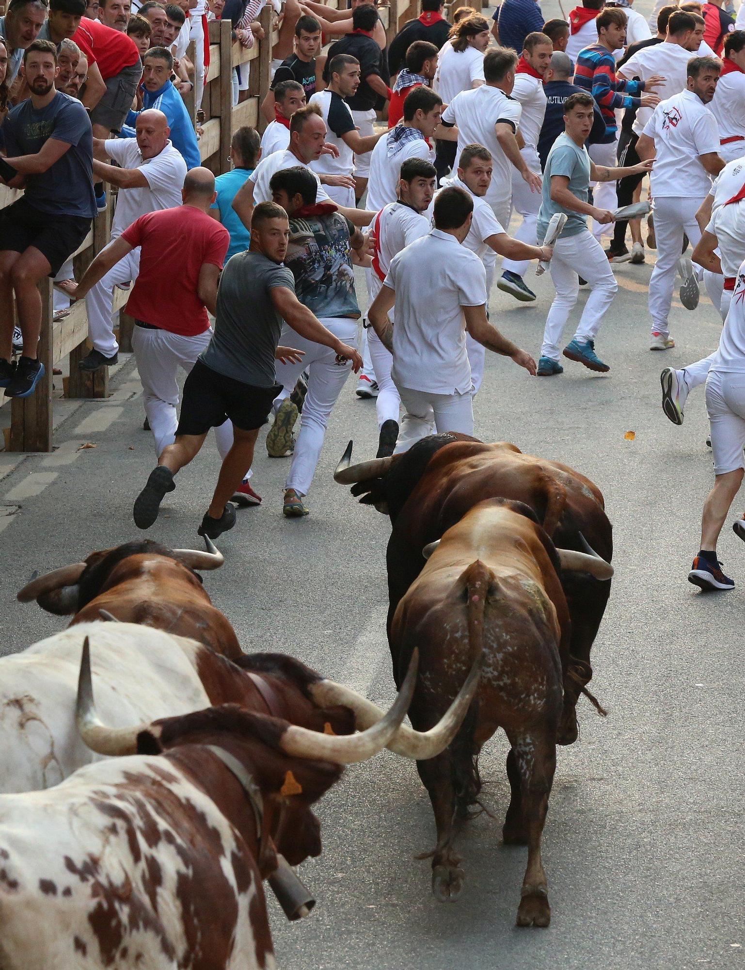 Fotos del tercer encierro de fiestas de Tafalla 2025