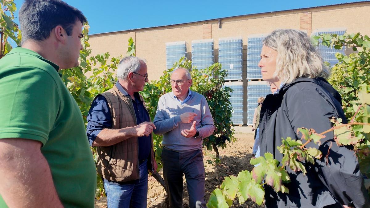 El diputado general en Bodegas Pascual Larrieta.