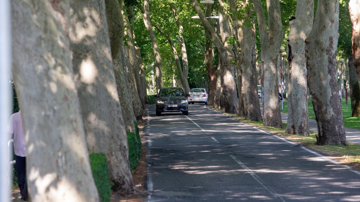 Tramo de la carretera de la Universidad de Navarra.