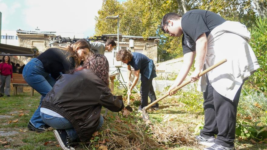 En imágenes: La UPV/EHU impulsa un curso de agricultura ecológica en el Campus de Álava