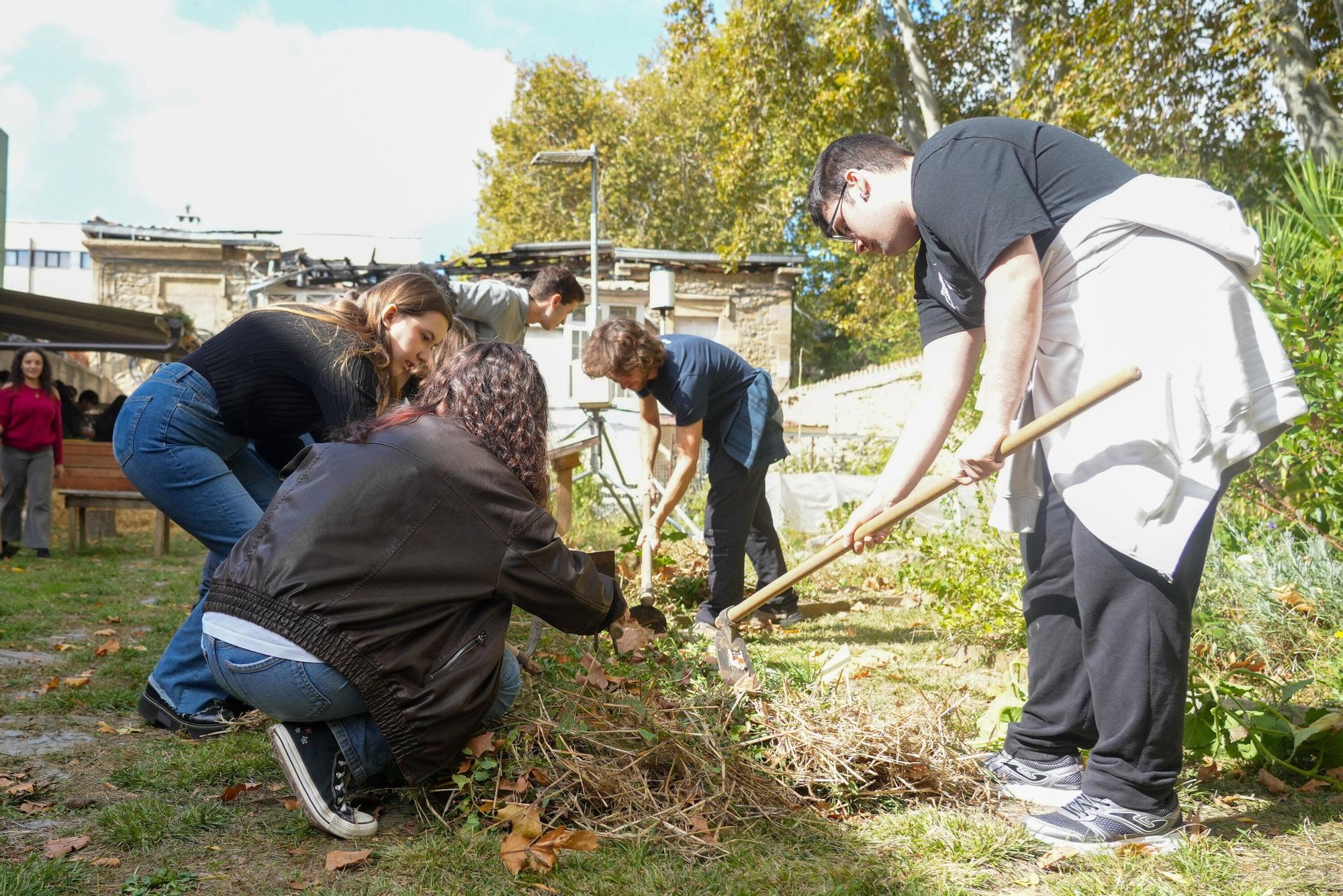 En imágenes: La UPV/EHU impulsa un curso de agricultura ecológica en el Campus de Álava
