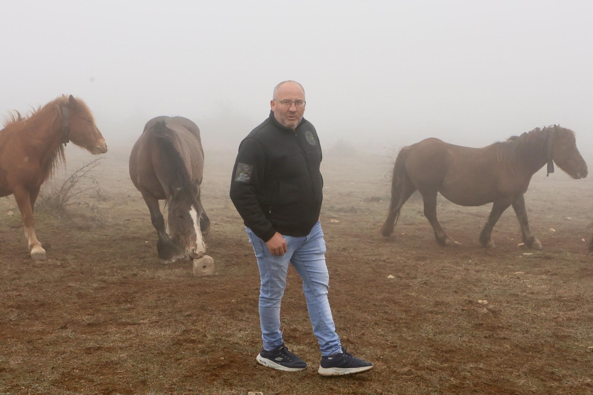 Reportaje a Raúl Rituerto, presidente de la Asociación alavesa de criadores de equino