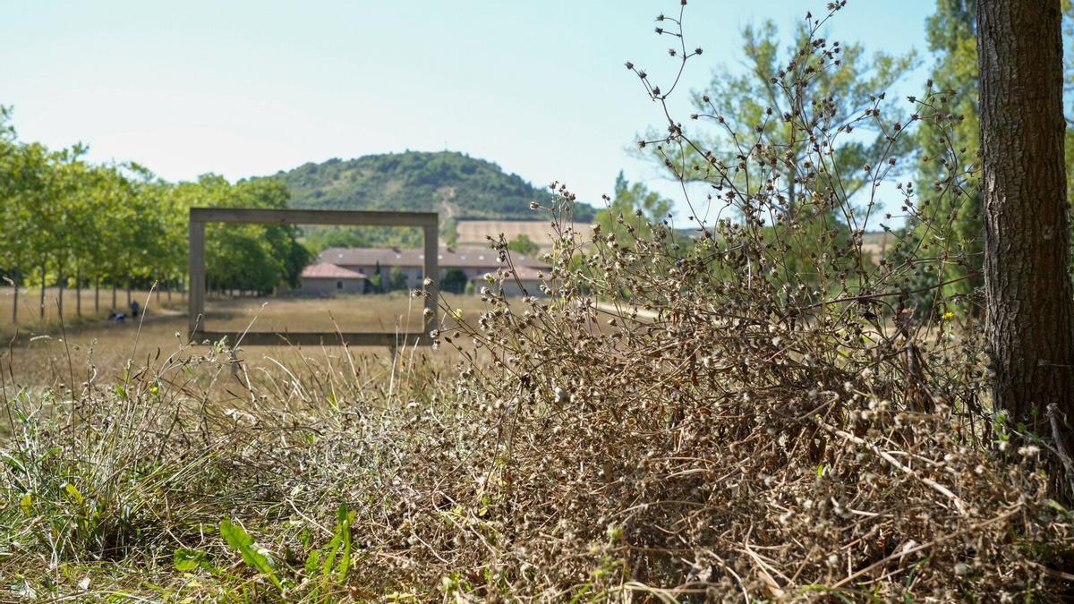 Campas de Olarizu.