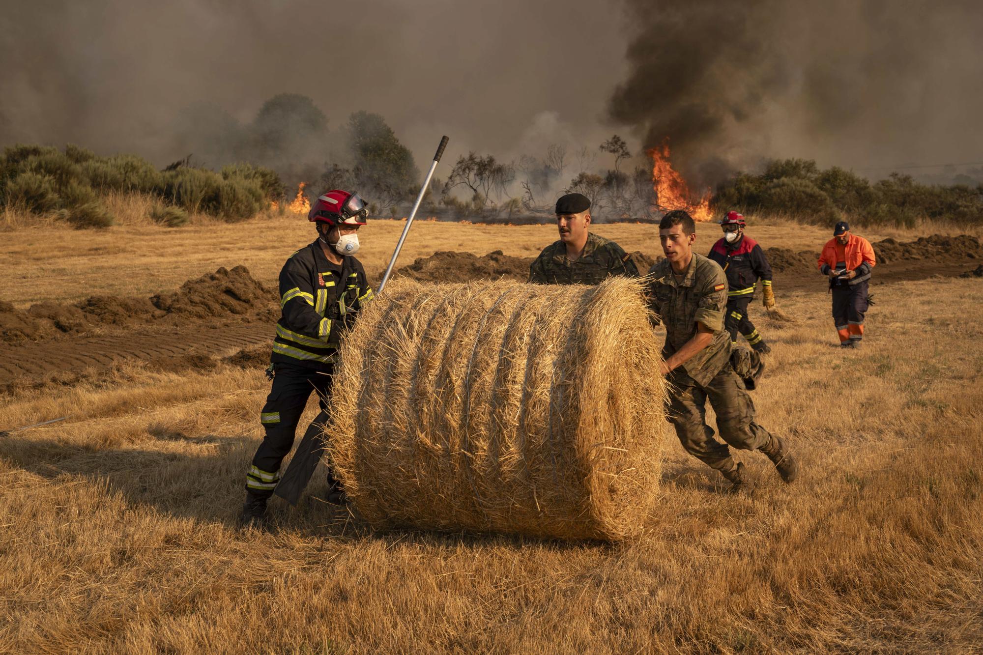 Incendios en Ourense: labores de extinción en un nuevo fuego declarado en A Gudiña