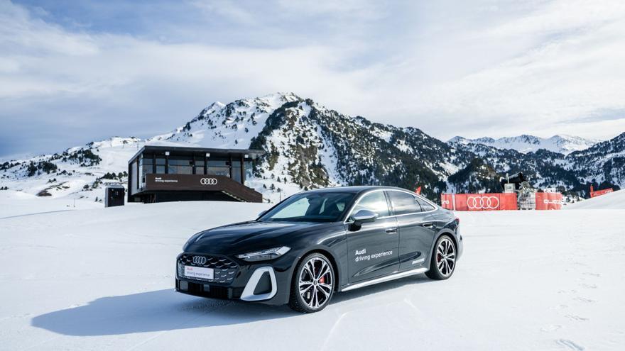 Audi: señas de identidad