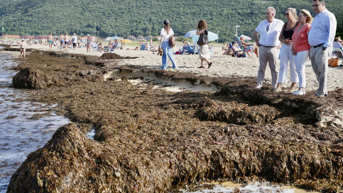 Representantes institucionales, en su visita a Trengandín, una de las playas de Noja.