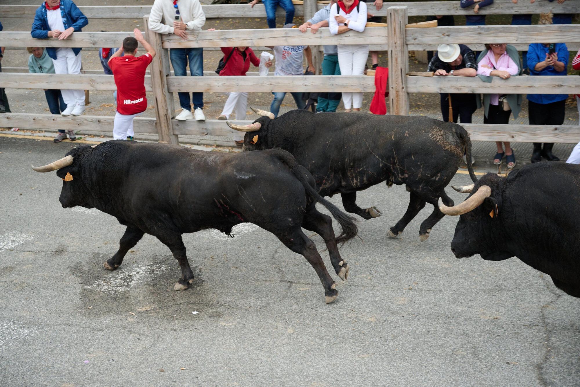 Fotos del segundo encierro de las fiestas de Sangüesa 2025