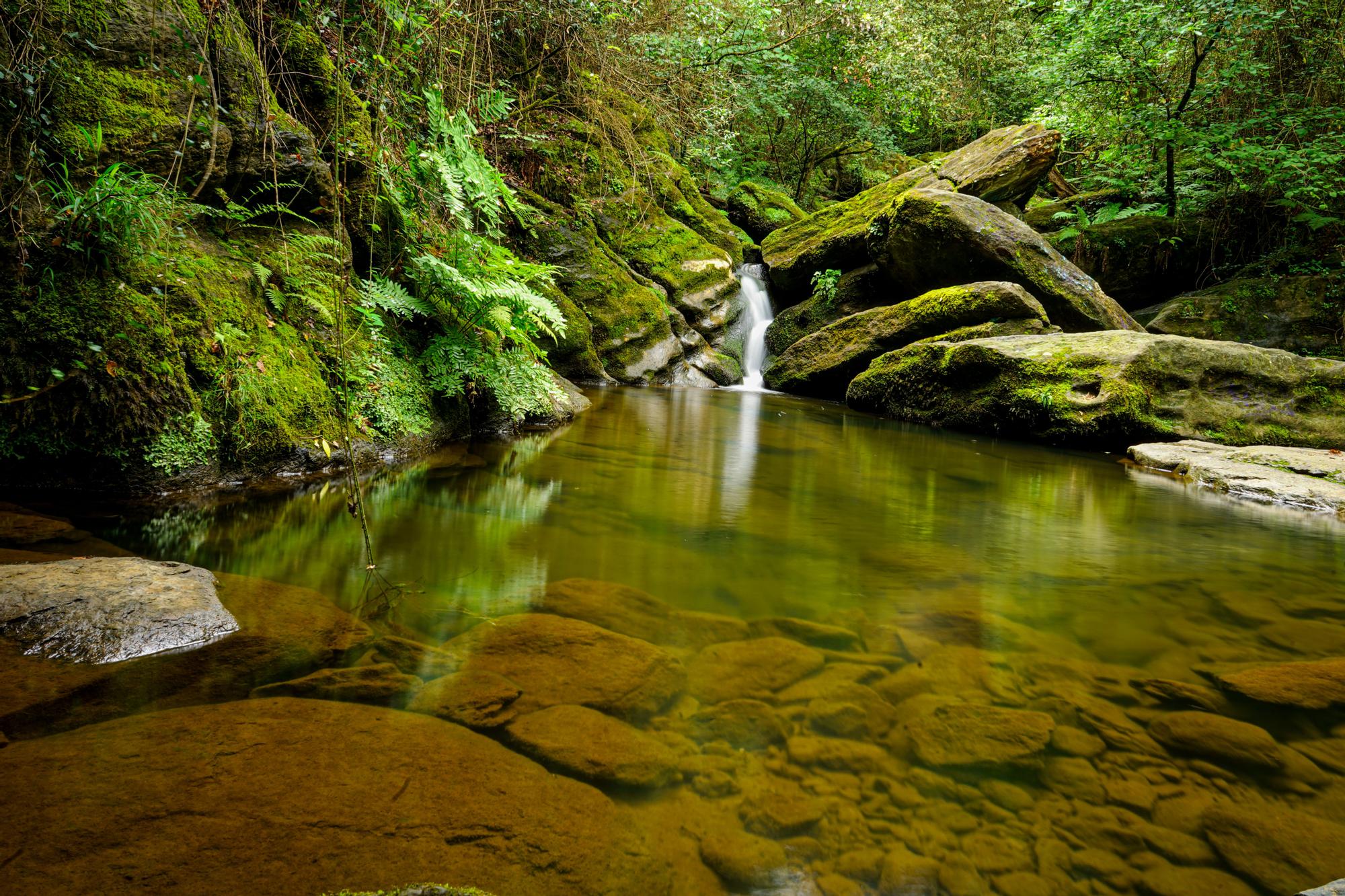05MAYO_Unai Franco Gomez- El Regato.jpg