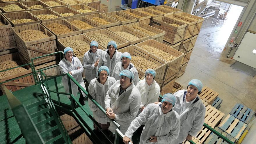 Paturpat invierte 15 millones en Vitoria para duplicar su producción de patata procesada