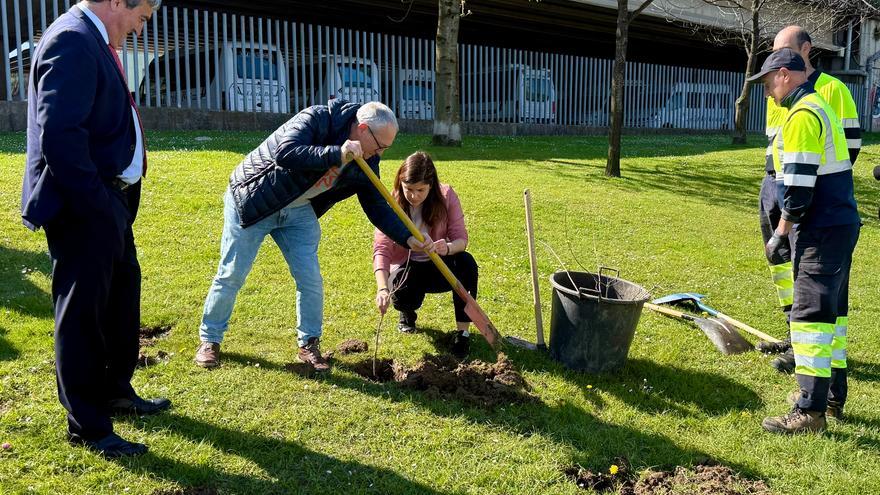 Bertako 4.000 zuhaitz eta zuhaixka landatuko ditu Barakaldok BEC-en inguruan