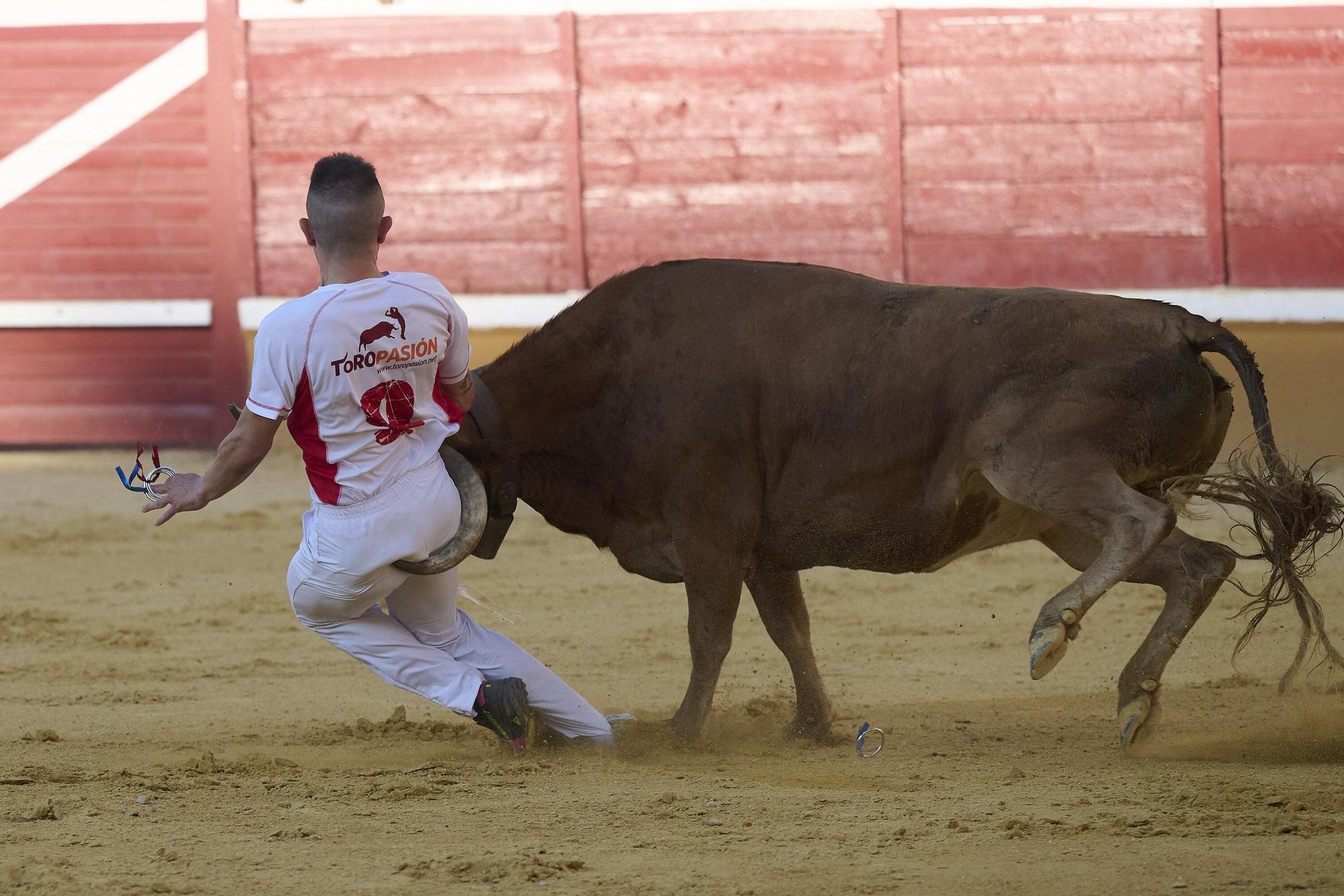 Concurso de recortadores con anillas
