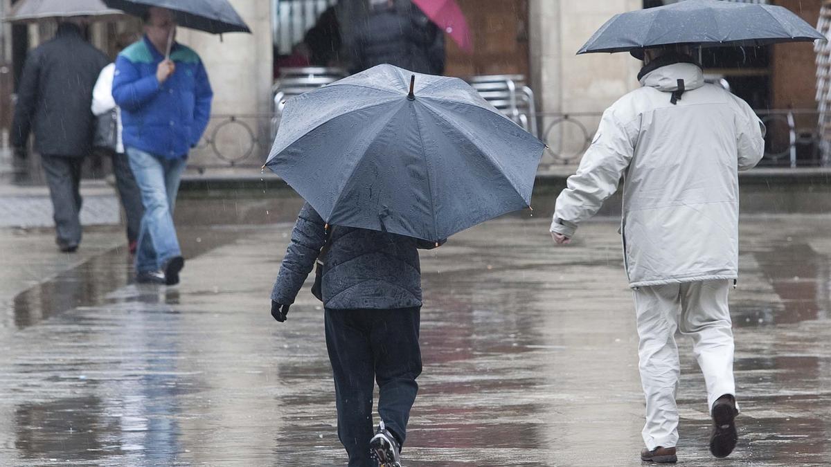 Despídete del frío y la lluvia: el chollo ideal de Decathlon para este otoño por solo 20 euros Despídete del frío y la lluvia: el chollo ideal de Decathlon para este otoño por solo 20 euros