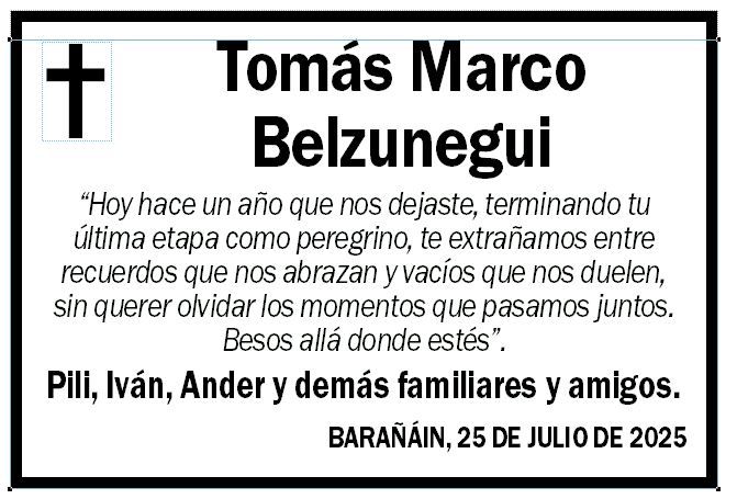 Tomás Marco Belzunegui