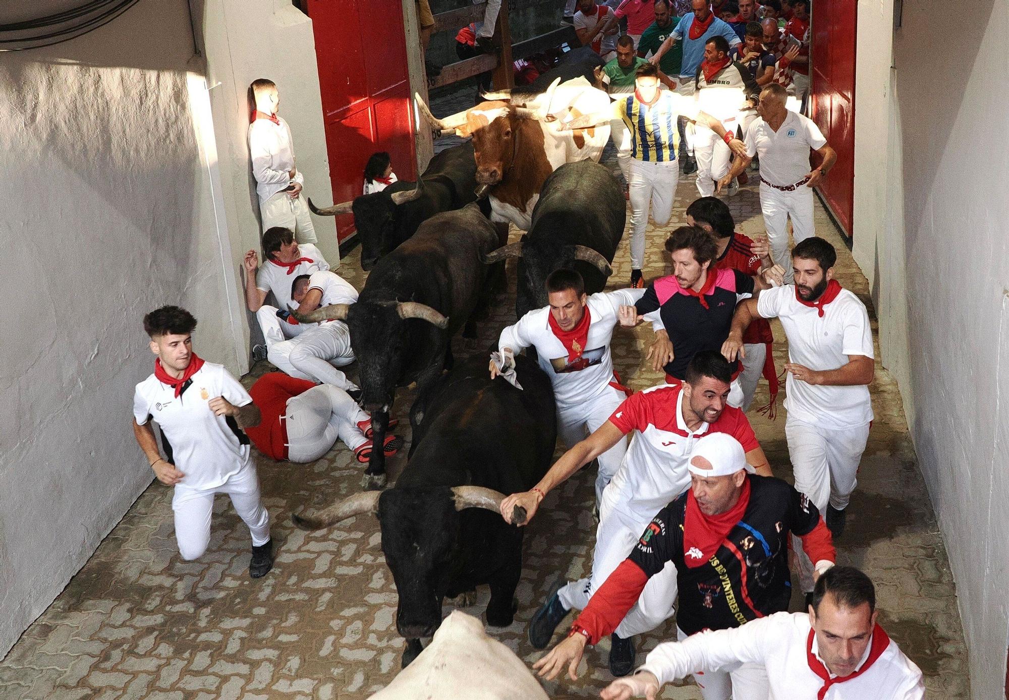 Fotos del octavo encierro de San Fermín con toros de Miura