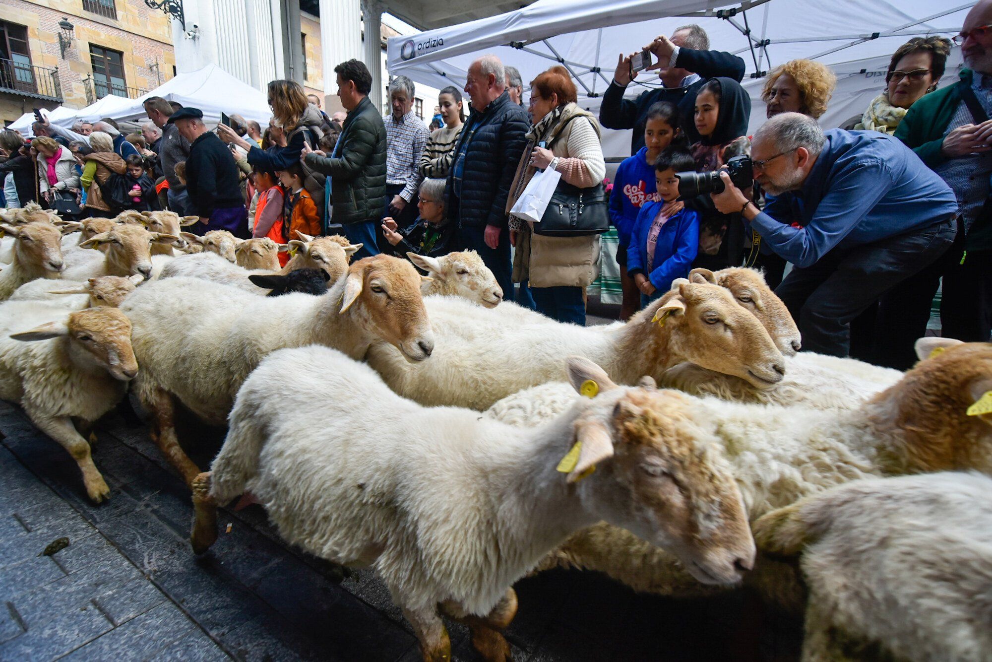 En imágenes: Edorta Lamo, protagonista del Artzain Eguna celebrado en Ordizia