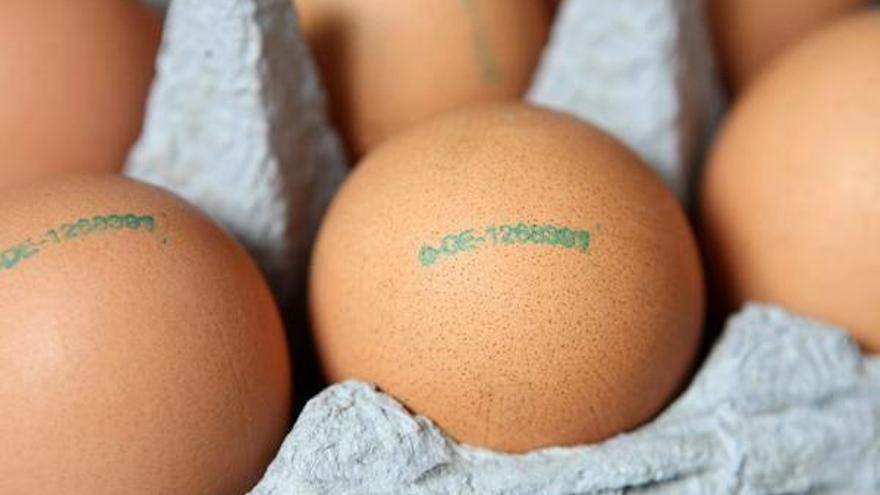 Imagen de archivo de unos huevos.