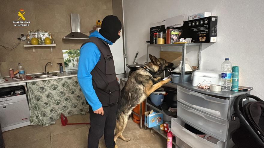 Vídeo del operativo de la Guardia Civil que ha desmantelado un clan familiar dedicado a la explotación laboral en La Rioja