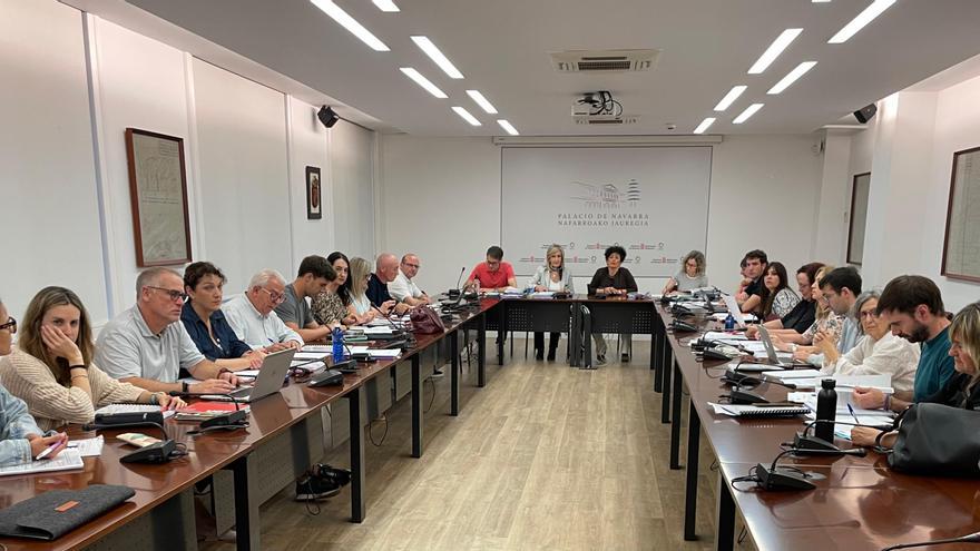 Navarra comparte en Mesa General las alegaciones sindicales incorporadas al texto del nuevo Estatuto de Personal