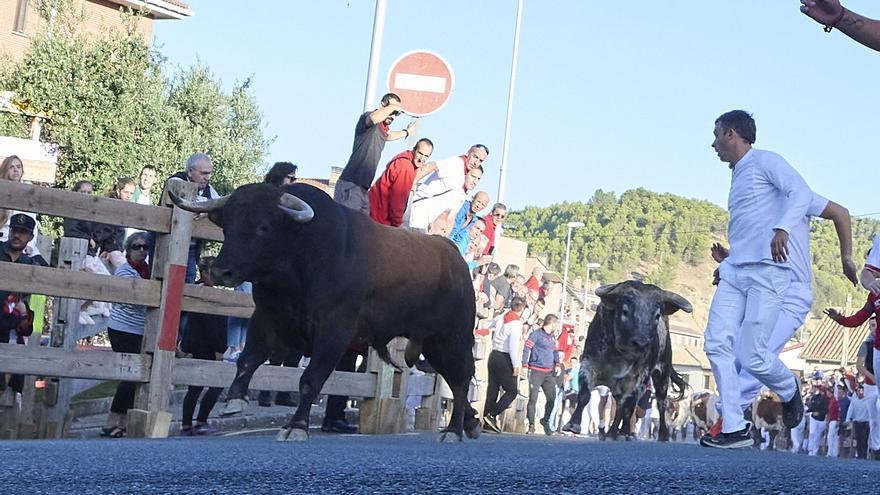 Los toros de Sobral corren un veloz y limpio primer encierro