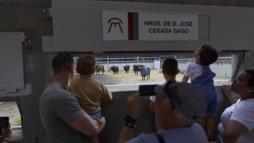 Abiertos los Corrales del Gas, pasen y vean