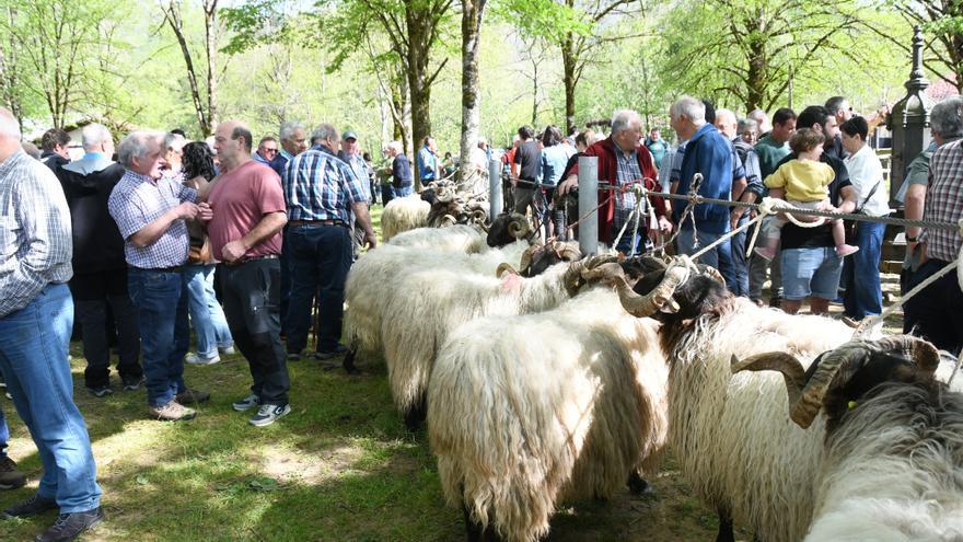 Elizondo celebra una ‘Feria de Verano’