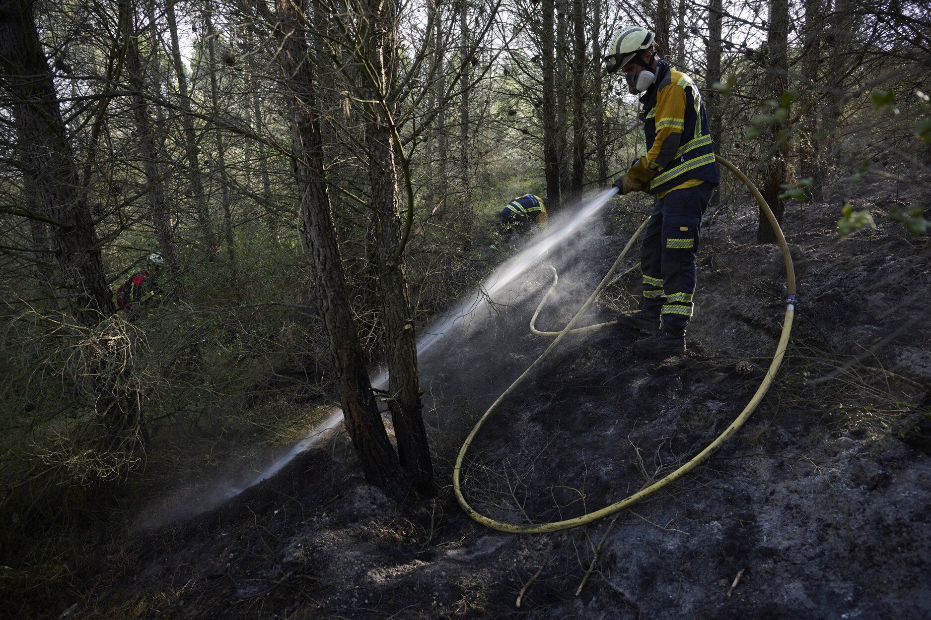 Imágenes de la zona afectada por el incendio en Enériz
