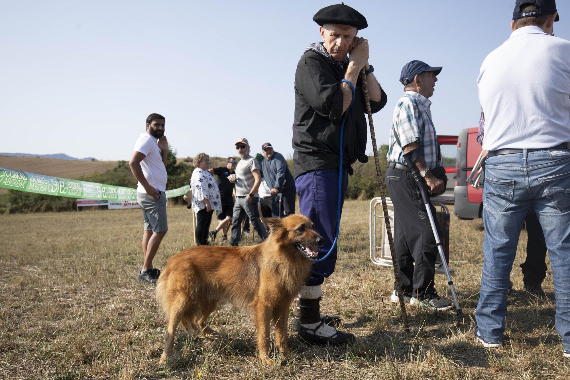 En imágenes: LXI edición del Campeonato de Araba de Perro de Pastor