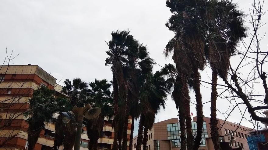 Activado este jueves el aviso amarillo en Euskadi por rachas de viento