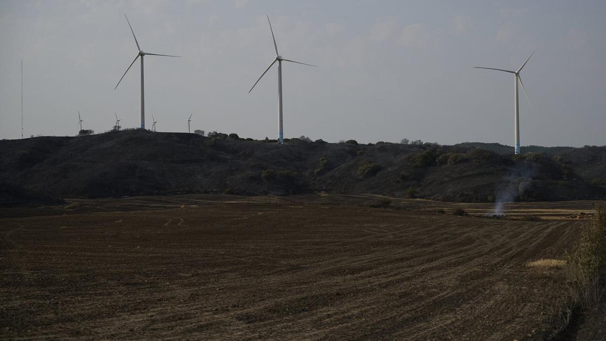 Superficie afectada tras el incendio de Valdizarbe.