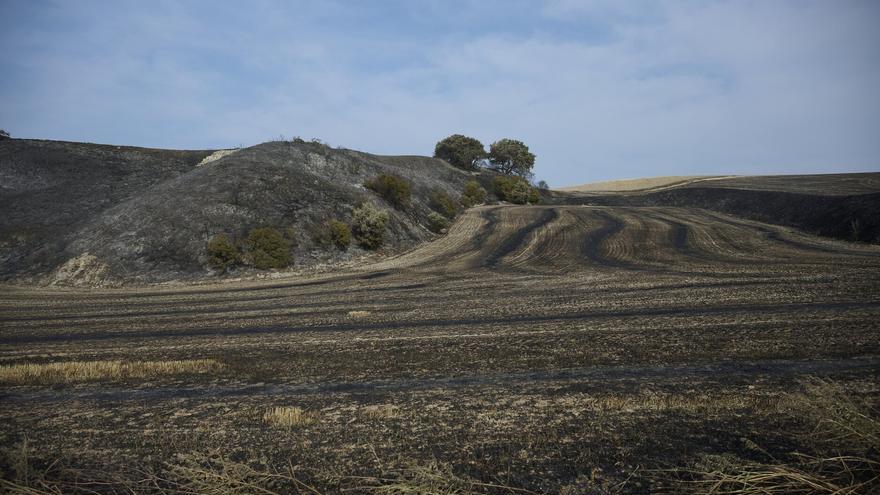 El Gobierno flexibiliza las restricciones a actividades agrícolas y forestales por riesgo de incendios