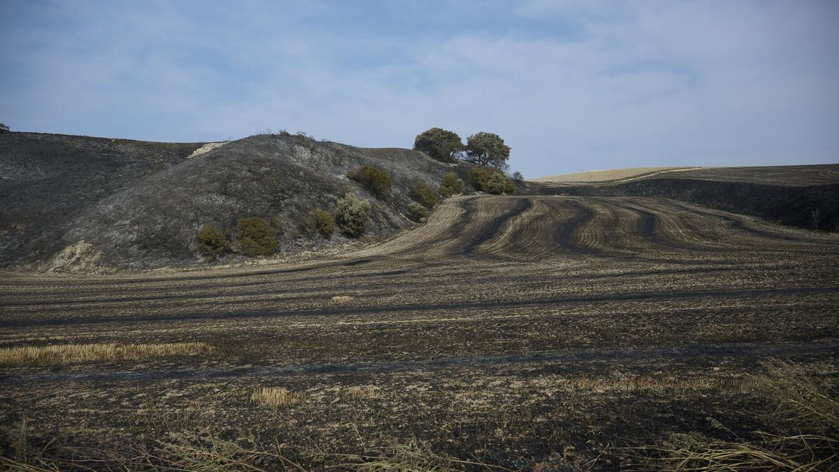 Zona afectada por el incendio en Valdizarbe.