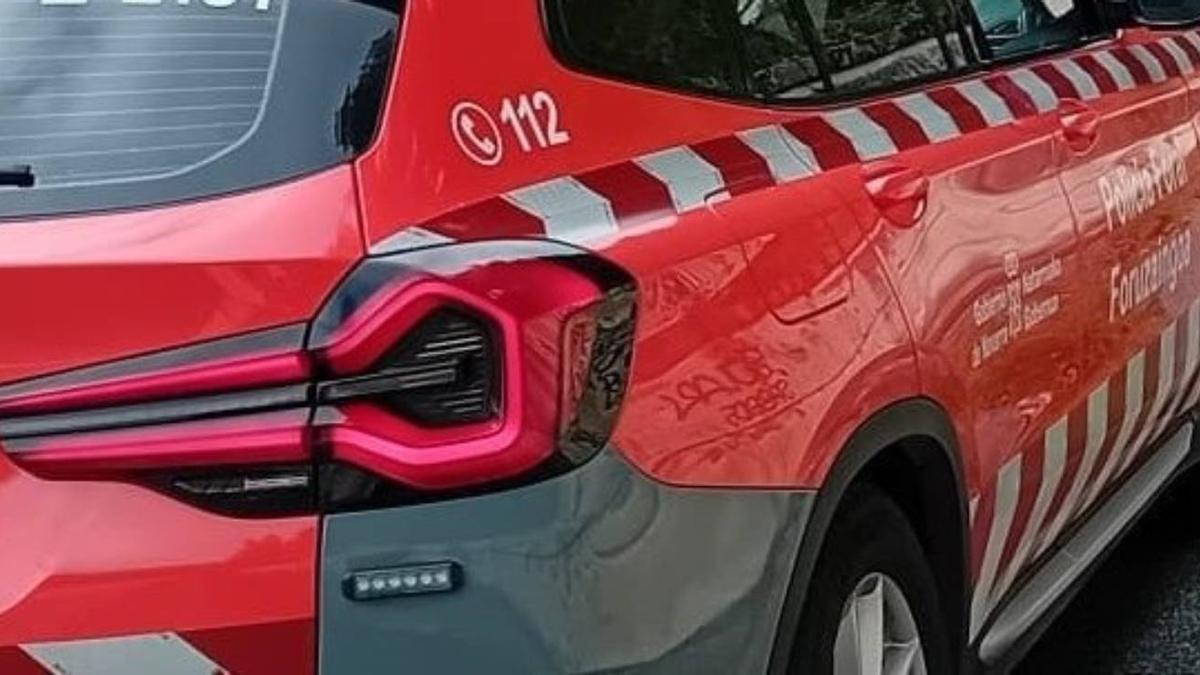 Imagen de detalle de un coche de la Policía Foral