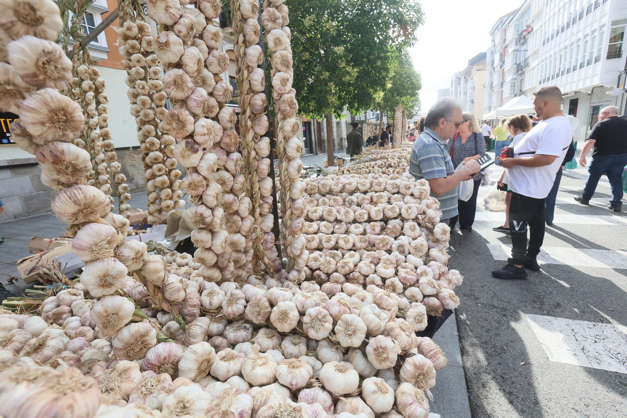 En imágenes: La feria de ajos atrae a los vitorianos un año más