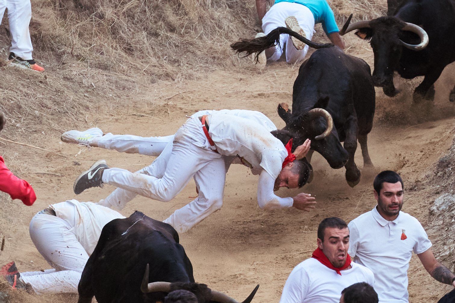 Fotos del tercer encierro del Pilón de Falces 2025