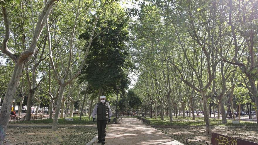 Ocho jóvenes atacan con una navaja a otro en un parque de Madrid