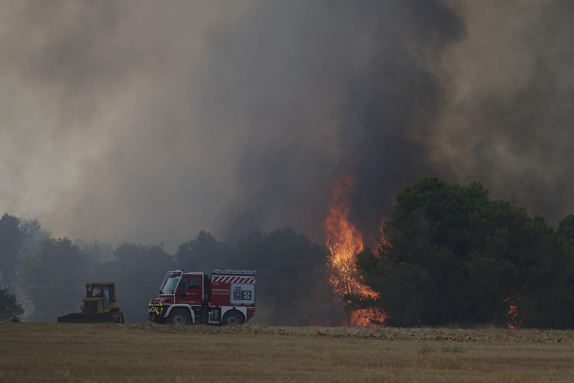 Fotos del incendio forestal cerca de Carcastillo