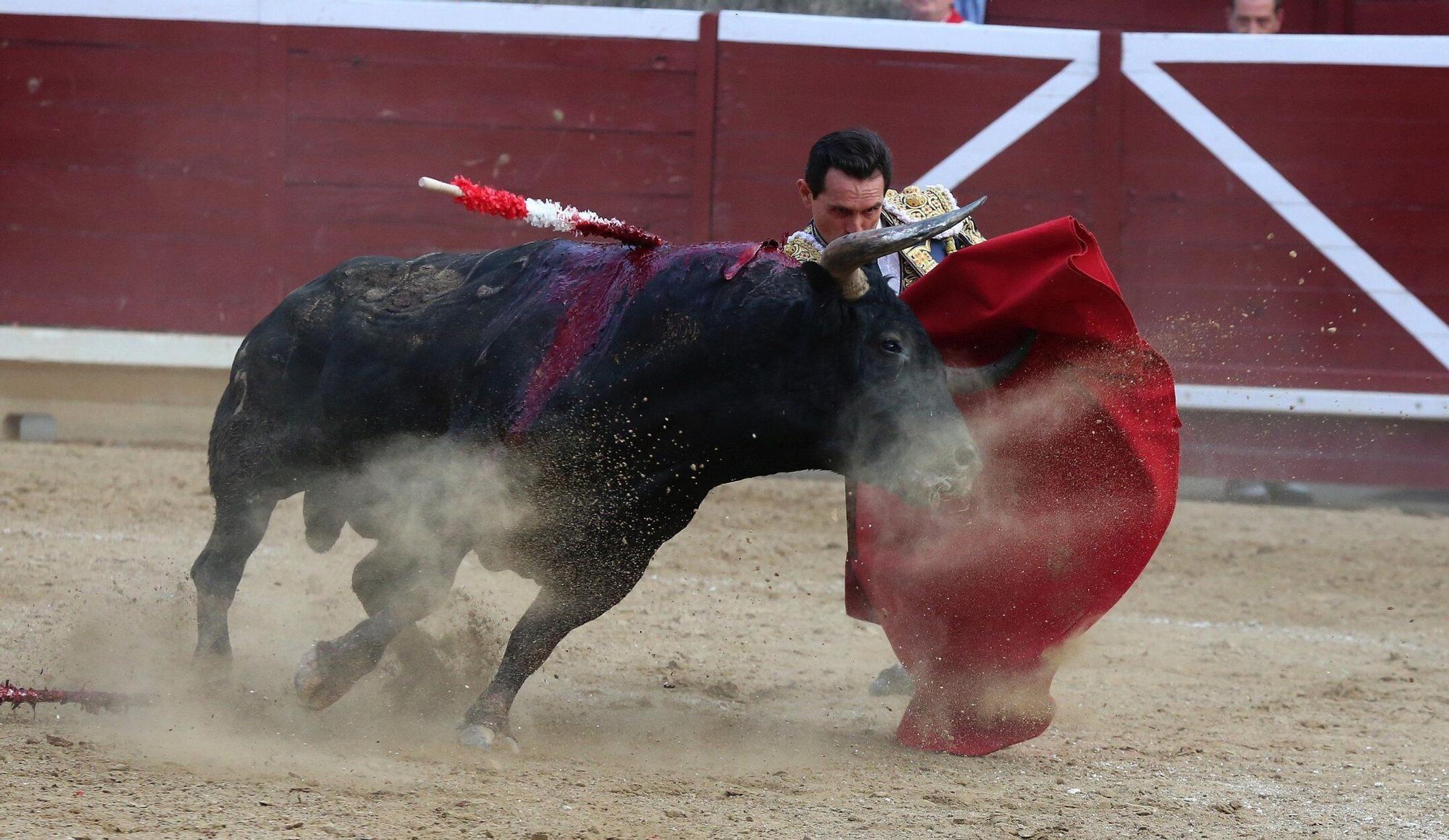 Fotos de la tercera corrida de toros de fiestas de Tafalla