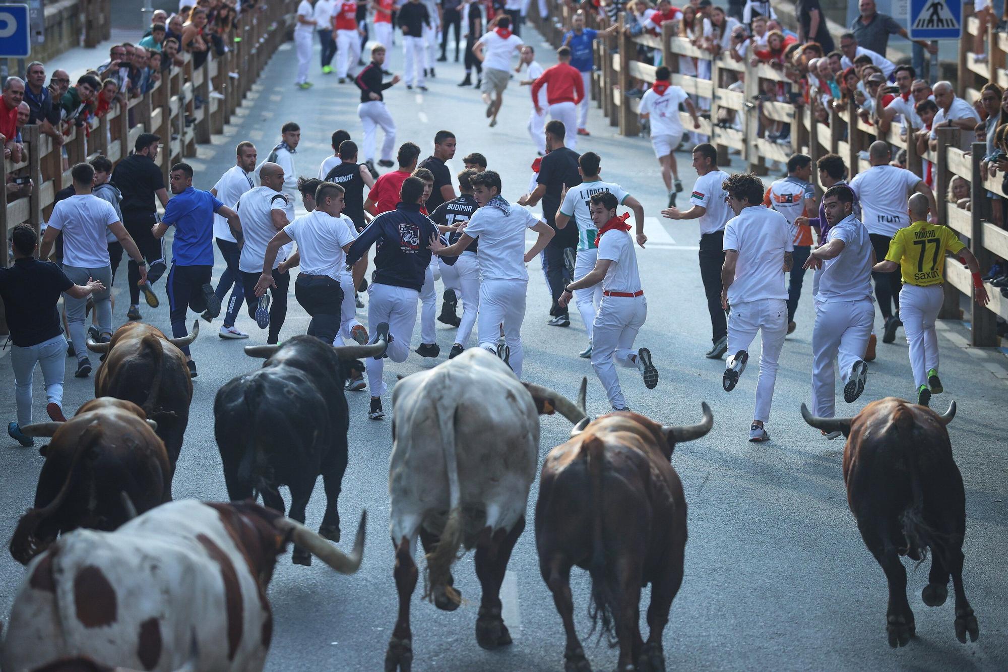 Fotos del quinto encierro de las fiestas de Tafalla 2025